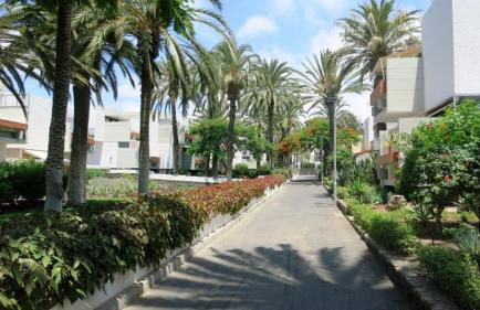 South Tenerife 471 - Foto 29