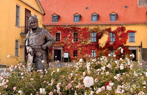 Ferienwohnung Bella - mit Waschmaschine, Fahrstuhl und Carport in ruhiger Altstadtlage von Ballenstedt - Foto 39