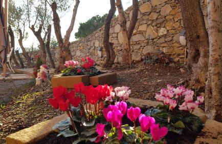 Poggio degli Ulivi - Foto 59