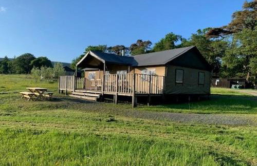 Curlew - Bleasdale - Foto 26