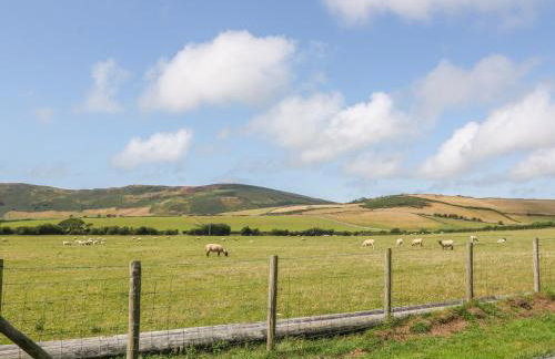 Craig Y Deryn - Foto 20