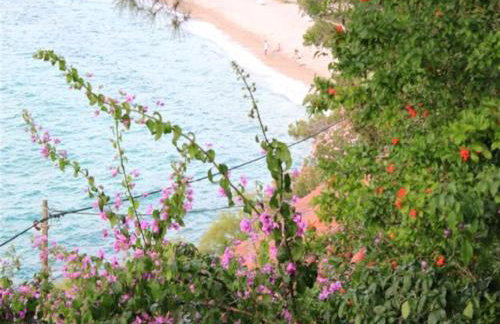 Apartments Maestral - Foto 20