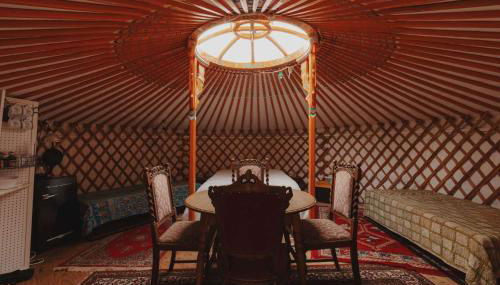 Cosy yurt at a nature retreat - Foto 3
