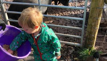 Acorn Cottage - Photo 4