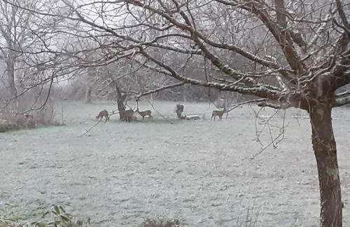 La Vieille Maison aux Canards - Foto 40