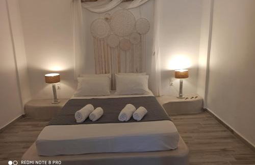 Cactus Home - Foto 13