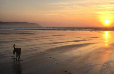 Sea View at Widemouth Bay - 3 bedroom cottage - all rooms Twin or King - Foto 34