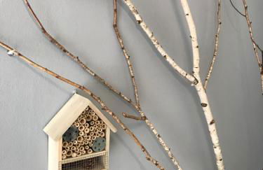 Agriturismo La Biandrina - Foto 37