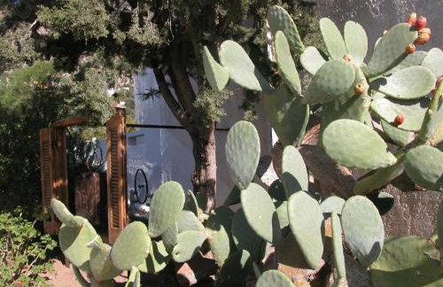 Villa Kalliopi - Foto 63