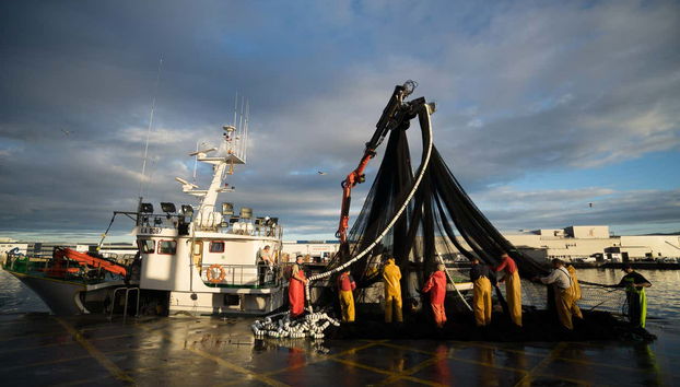 Tour por el puerto de Vigo + Visita a un vivero de marisco - Foto 4
