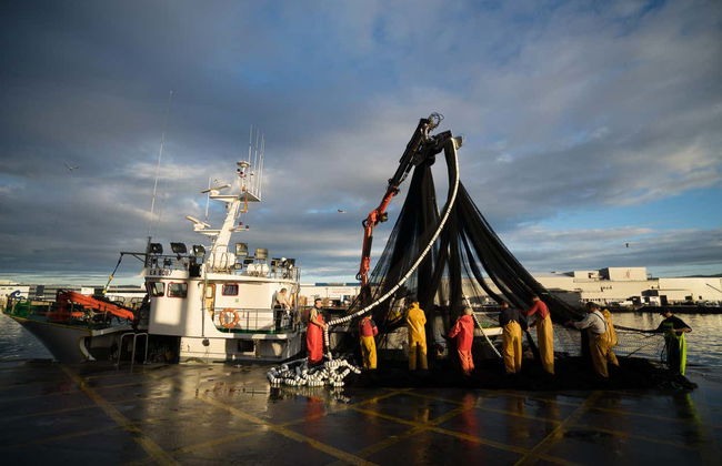 Visite du port de Vigo + Visite d'un vivier à crustacés - Photo 4