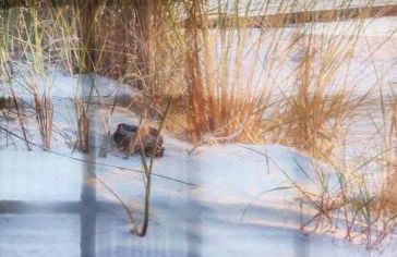 Da Vinci - Charmant et Relax - Foto 12