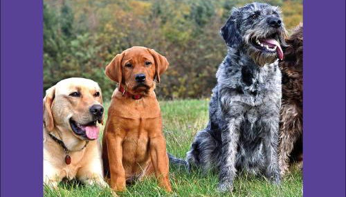 Ferienwohnung BECKENDORF - Foto 4