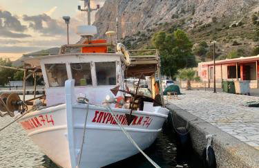 Philoxenia Apartments - Photo 52