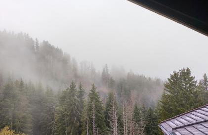 Studios cosy au pied des pistes - Foto 13