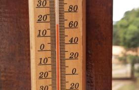 Biju's Little Farm - Foto 45