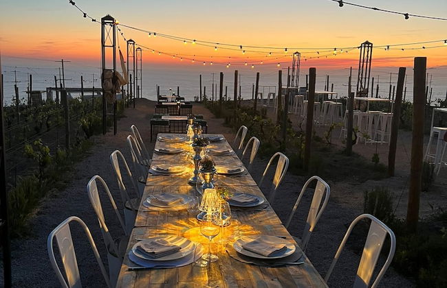 Tenuta C'est la Vie - Foto 62