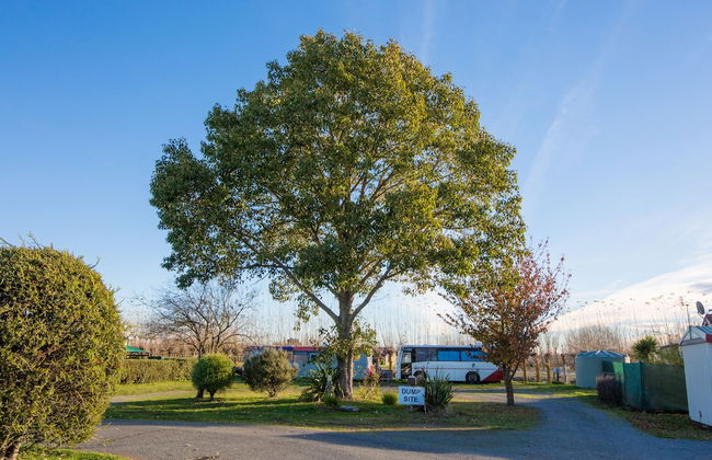 Rangiora Eco Holiday Park - Foto 57