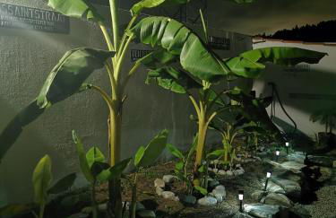 Casa Picamilho - Foto 35