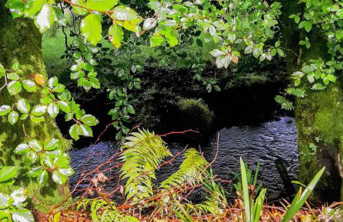 Kingfisher Cottage, 20 - Foto 22