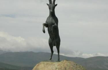 Los Navazuelos - Photo 46