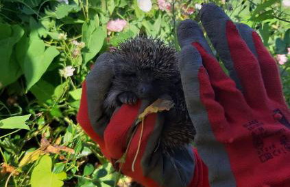 Kuća za odmor VB-IDRO - Foto 7