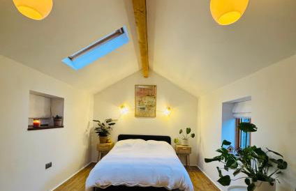 Woodland, Canal & Lakeside Cottage - Foto 12