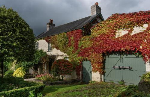 West Cottage - Foto 34