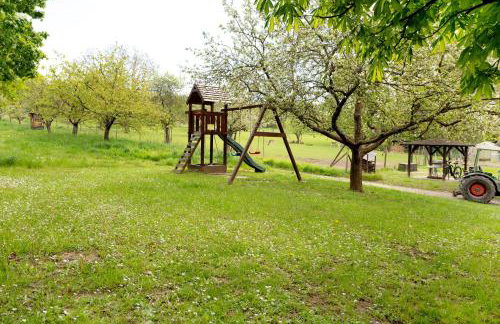 Gästehaus Mühlenhof - Müller-Thurgau - Foto 25