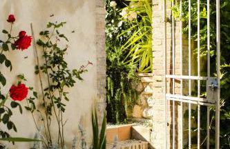 Fattoria San Donato - Foto 32