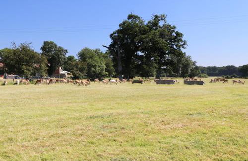 New Park Farm Cottage - Foto 30