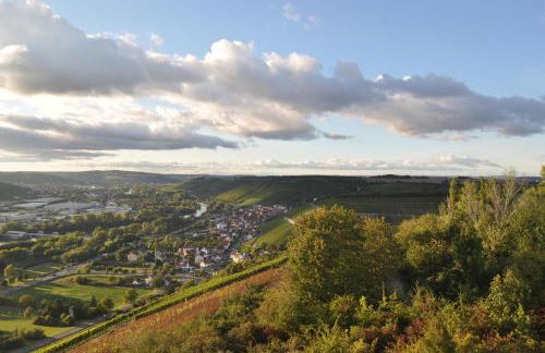 Ferienwohnung, Weingut Trockene Schmitts - Foto 9