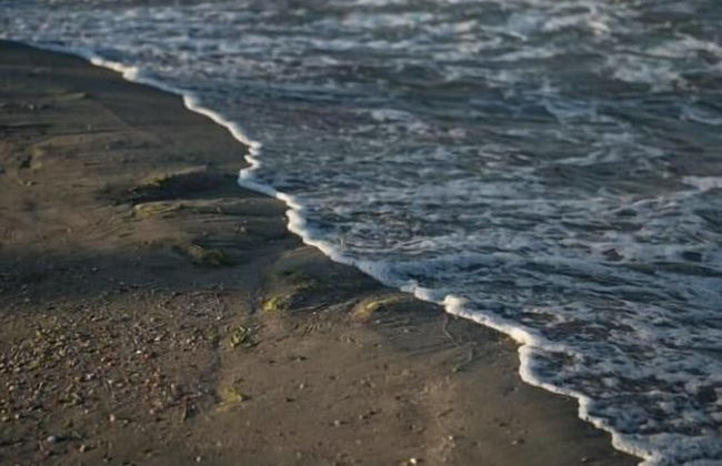 RIVA Mamaia Aparthotel - Photo 76