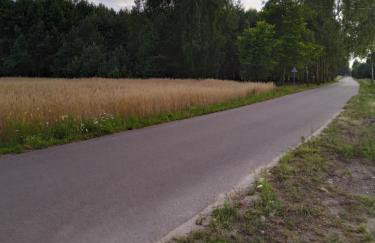 Apartament 1 - Foto 14