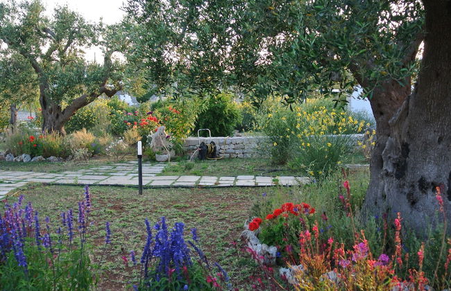 Trulli Paparale - Foto 34