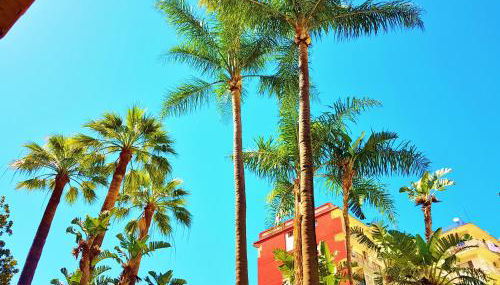 Dépendance La Casetta - Foto 5, Garden, Garden view