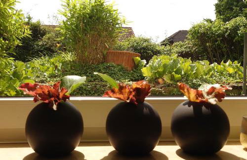 Ferien am See - Foto 8