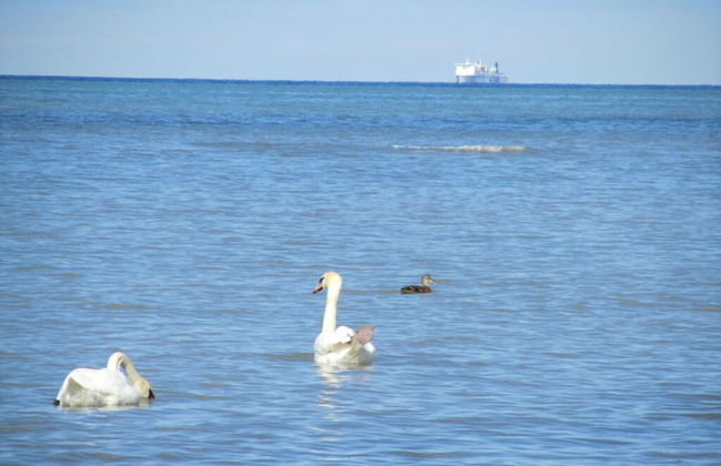 Bolliger 2 Modern Retreat - Foto 7