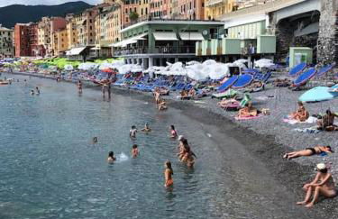 casa di arya CODICE CITRA LT-0043 - Foto 17