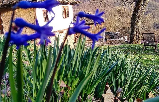 Karashka - Vacation Home - Foto 26