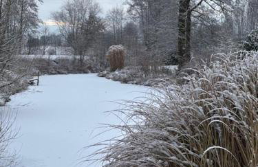 Landgut zur Mühle - Foto 52