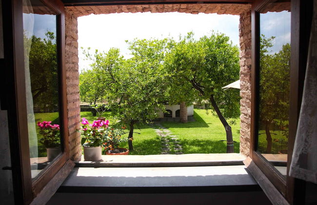 Agriturismo Galea - Foto 49