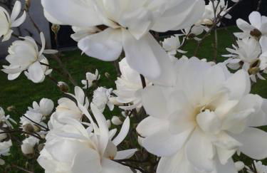 Kleine Auszeit - Foto 46