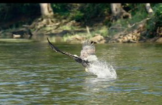 Trout Lodge at Two Rivers-White River Cabin - Foto 41