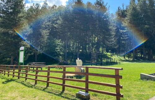 Appartamento immerso nel verde - Foto 48