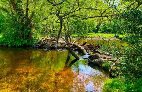 Jungle lodge - Photo 57