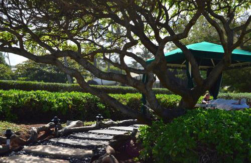 2417 at Oceanfront Resort Lihue Kauai Beach Drive Private Condo - Foto 66