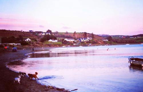 Treforgan Newydd - Foto 27