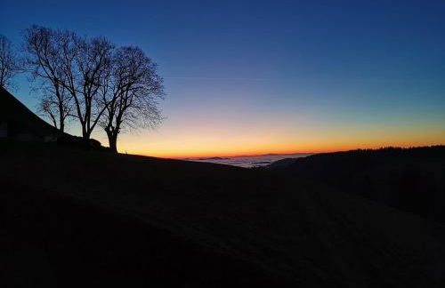 Haus Julia - Foto 15