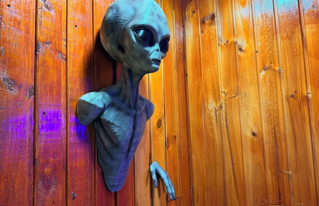 Cabañas Los Olmos - Foto 32